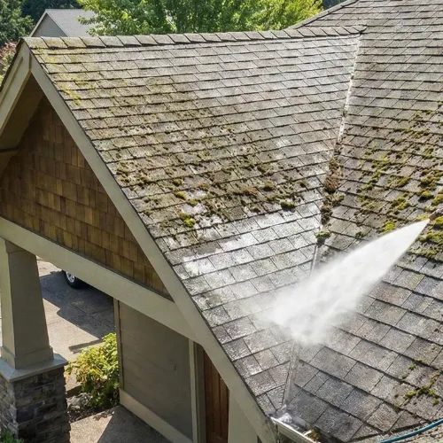 Roof Cleaning service in Knightdale NC