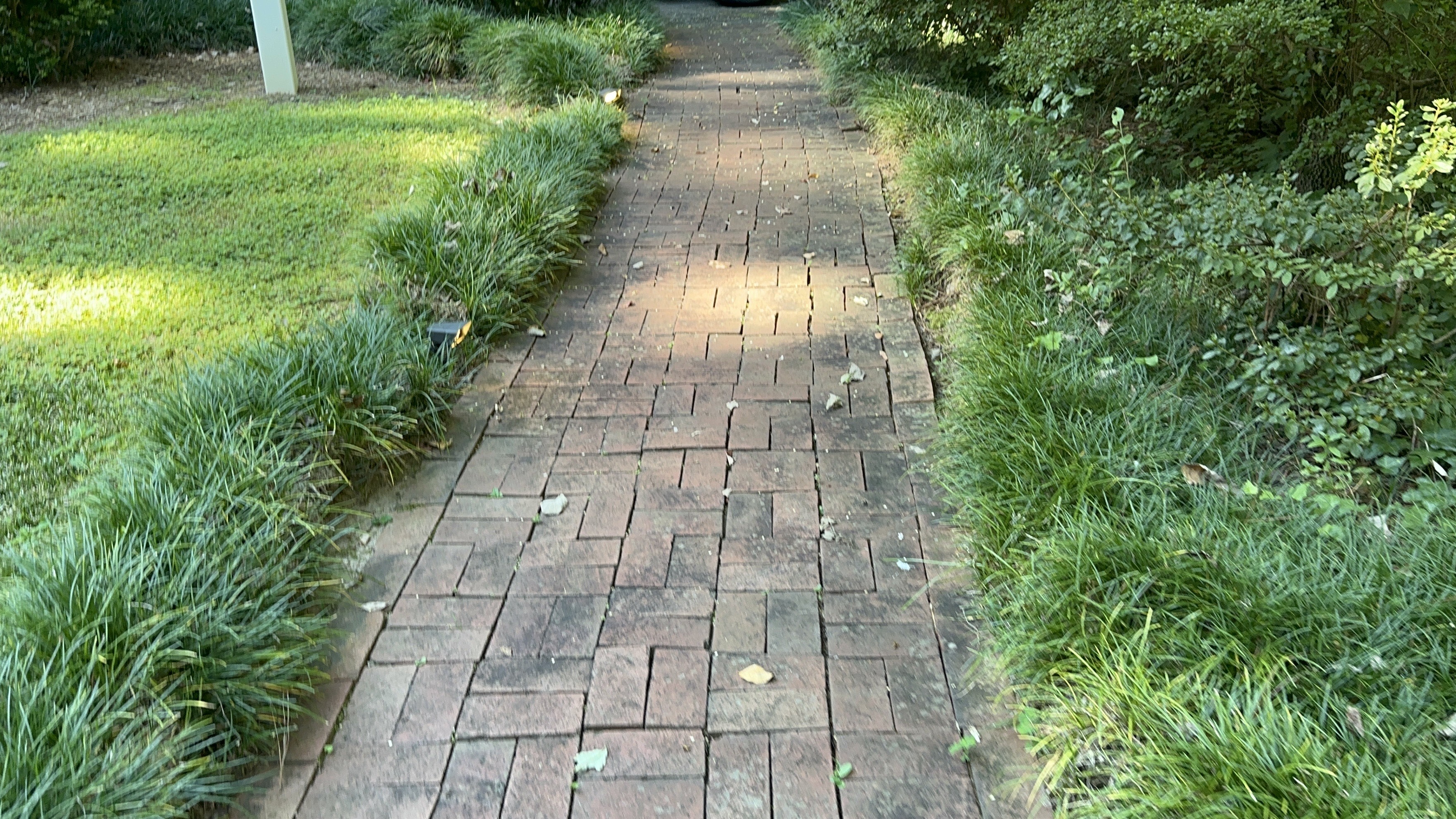 Dirty sidewalk before professional pressure washing Knightdale NC